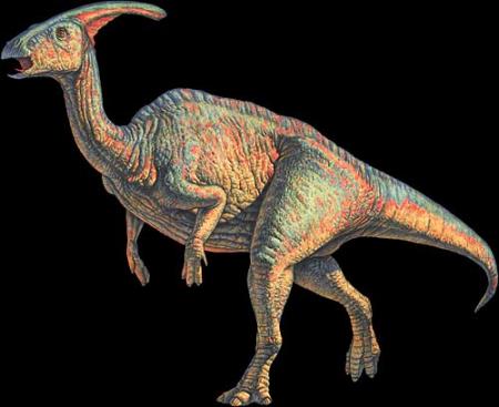 PARASAUROLAUPHUS
