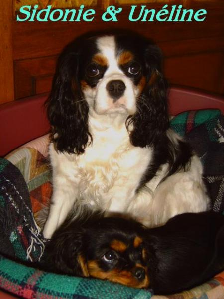 Sidonie et Un�line